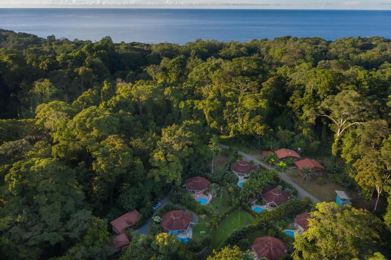 Villa Lomas Del Caribe Puerto Viejo de Talamanca Exterior foto